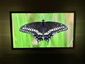 Philips 42pfl7606h LCD - nuotraukos Nr. 5