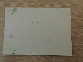 Lietuvos kariuomenės paradas. Maždaug 1930-ieji - nuotraukos Nr. 4