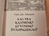 Kas yra kasdienio gyvenimo dvasingumas ? - nuotraukos Nr. 2
