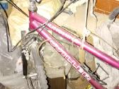 Vaikui ar Paugliui (Shimano