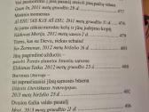 Išminties valdovų mokymai - nuotraukos Nr. 12