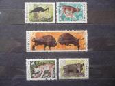 1969 m. Fauna – Belovežo Puščios nacionalinis park