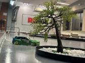 Pasivažinėjimas drift trasoje su RC drift modeliu - nuotraukos Nr. 10