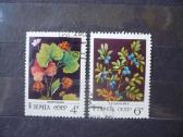 1982 m. laukinės uogos