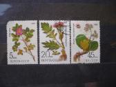 1985 Sibiro augalai