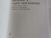 Grįžti prie dorybių - nuotraukos Nr. 2