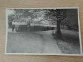 Šaulių sąjungos rikiuotė. Panemunė. 1928 m. - nuotraukos Nr. 2