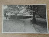 Šaulių sąjungos rikiuotė. Panemunė. 1928 m.