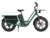 Fiido T2 Cargo elektrinis dviratis - su gazu