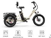Onesport Ot30 Pro Cargo elektr. triratis dviratis - nuotraukos Nr. 3