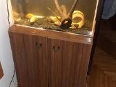 Akvariumas +spintelė +apšvietimas - nuotraukos Nr. 2