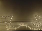 LED dekoracija elnias su rogėmis - nuotraukos Nr. 6