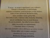 Vyro išmintis - nuotraukos Nr. 3