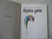 J. D. Žilaitytė - Balta gėlė - nuotraukos Nr. 2