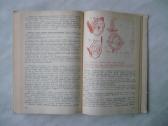 B kategorijos automobilis - nuotraukos Nr. 2