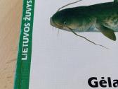 Knyga Gėlavandenės žuvys - nuotraukos Nr. 5