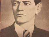 Knygos apie lietuvių rašytojus
