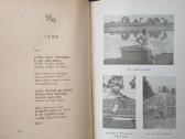Salomėja Neris, 1946 m. Poezija, 2 t. - nuotraukos Nr. 5