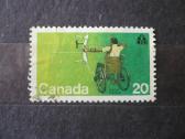 1976 m. parolimpinės žaidynės – Torontas, Kanada