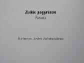 Zuikis pagyrūnas - nuotraukos Nr. 2
