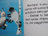 Zuikis pagyrūnas - nuotraukos Nr. 4