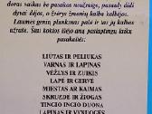 Skruzdė ir žiogas - nuotraukos Nr. 6
