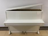 Grotrian Steinweg modell 110 Vokietija (Renner) - nuotraukos Nr. 12