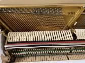 Grotrian Steinweg modell 110 Vokietija (Renner) - nuotraukos Nr. 9