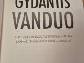 Gydantis vanduo - nuotraukos Nr. 3