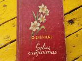 Senos knygos antra dalis - nuotraukos Nr. 15