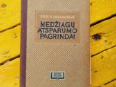 Senos knygos antra dalis - nuotraukos Nr. 21