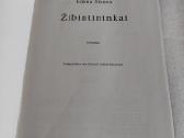 Žibintininkai - nuotraukos Nr. 2