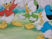 Donaldas seklys. Nr.8 - nuotraukos Nr. 3