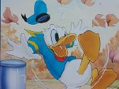 Donaldas seklys. Nr.8 - nuotraukos Nr. 6