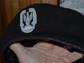 Lenkijos kario berete