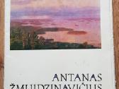 Antanas žmuidzinavičius - nuotraukos Nr. 2
