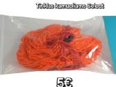 Futbolo aprangų komplektai, kamuoliai , skirtukai - nuotraukos Nr. 23