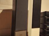 Dynaudio Facette specifines high-end - nuotraukos Nr. 5