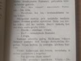 Birutė Vėlyvytė "Užsispyrėlis pianinas" - nuotraukos Nr. 10