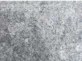 Parduodu Granito grindinio plytas - nuotraukos Nr. 6