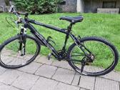 Dviratis Focus Black Raider 19.5" Limited Edition