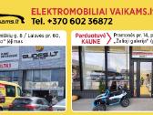 Zaislai Dideles Nuolaidos Kaunas Vilnius - nuotraukos Nr. 22