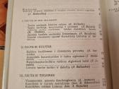 Tautinis mentalitetas - nuotraukos Nr. 3