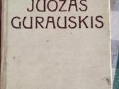 Knygos apie lietuvių rašytojus - nuotraukos Nr. 4