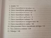 Dievo visavaldystė - nuotraukos Nr. 3