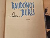 Raudonos burės - nuotraukos Nr. 2