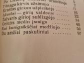 Girių poema - nuotraukos Nr. 3