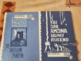 Lietuvos praeities vaizdai , Kai dar amžina ugnis