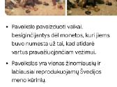 Antikvariatas - nuotraukos Nr. 4