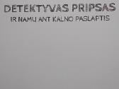 Detektyvas Pripsas ir namų ant kalno paslaptis - nuotraukos Nr. 2